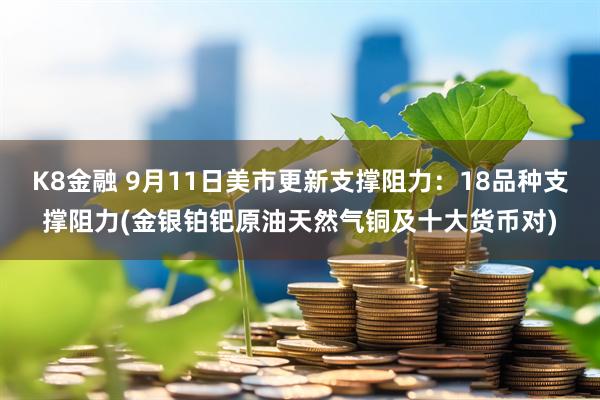 K8金融 9月11日美市更新支撑阻力：18品种支撑阻力(金银铂钯原油天然气铜及十大货币对)