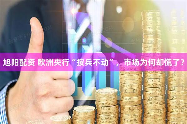 旭阳配资 欧洲央行“按兵不动”，市场为何却慌了？
