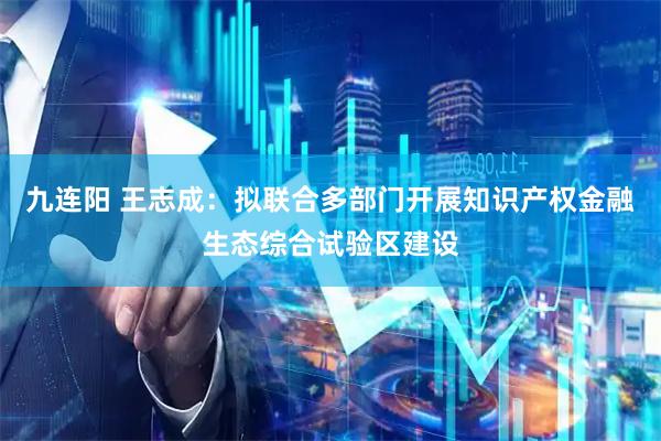 九连阳 王志成：拟联合多部门开展知识产权金融生态综合试验区建设