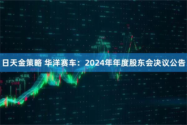 日天金策略 华洋赛车：2024年年度股东会决议公告