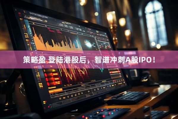 策略盈 登陆港股后，智谱冲刺A股IPO！