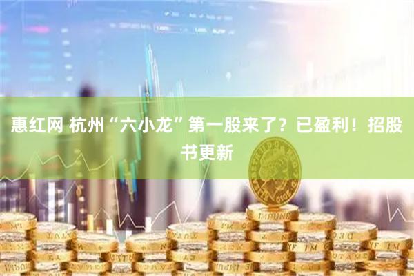 惠红网 杭州“六小龙”第一股来了？已盈利！招股书更新